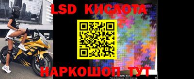 a pvp Краснознаменск