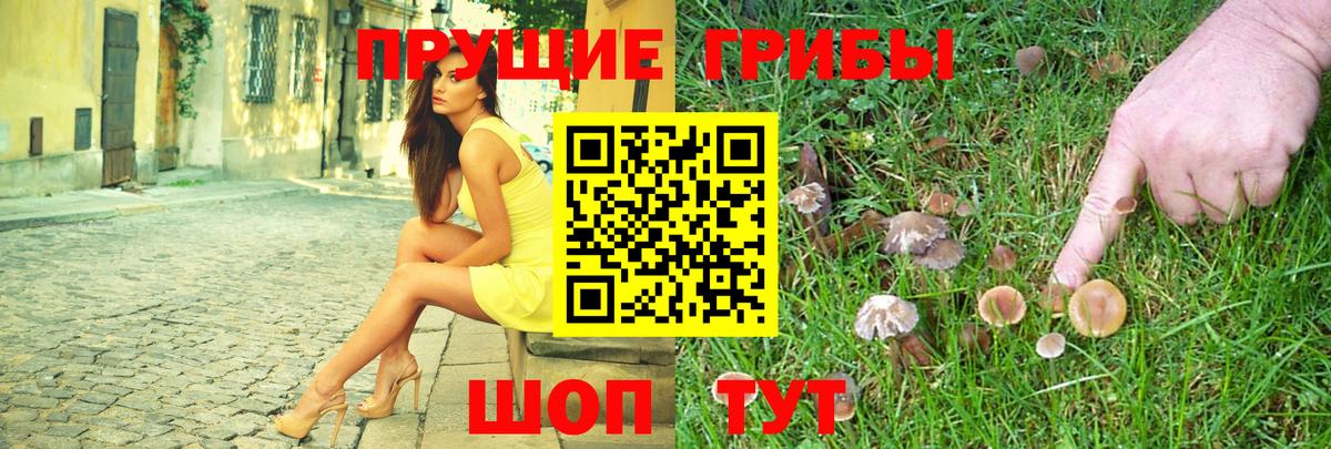 Галлюциногенные грибы мухоморы  где продают наркотики  Галлюциногенные грибы прущие грибы  Кимры  Вход с VPN 