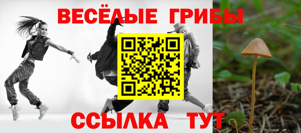 Псилоцибиновые грибы Cubensis Кимры